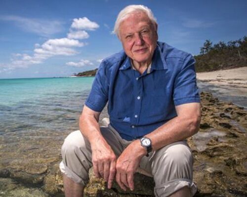The Attenborough effect: Changing ‘Life on Our Planet’