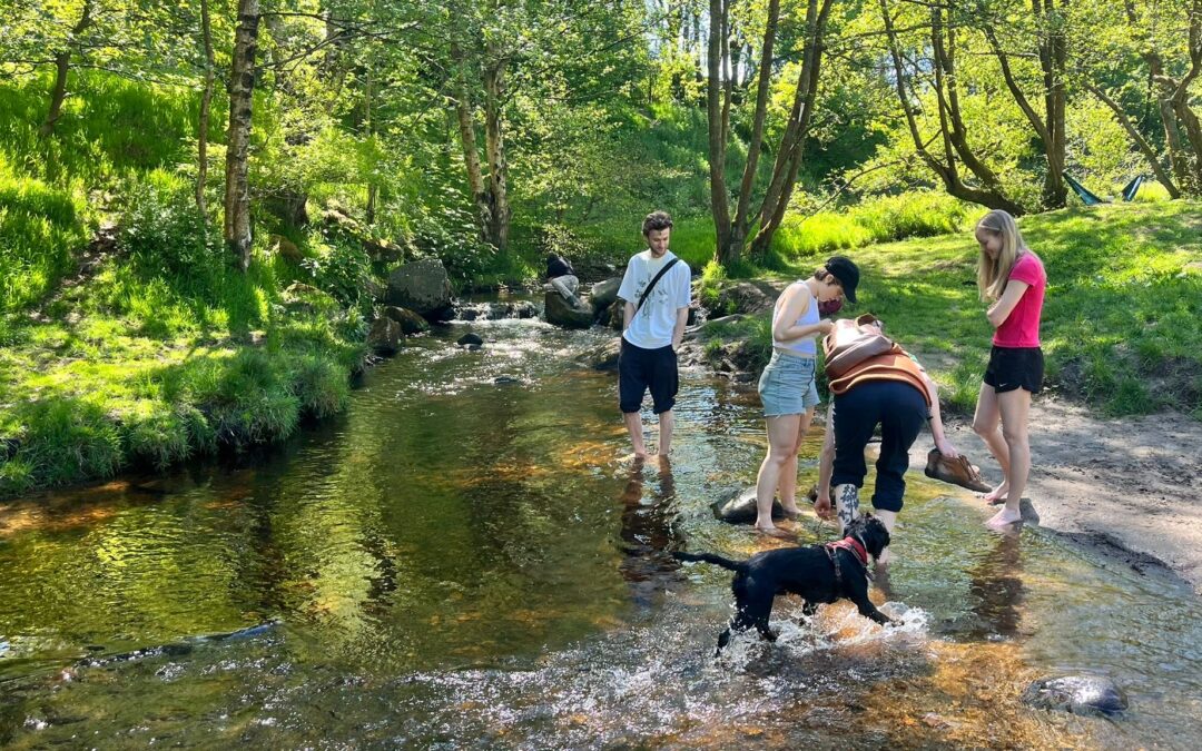 ‘The world won’t end if you take time off’: walking for mental health