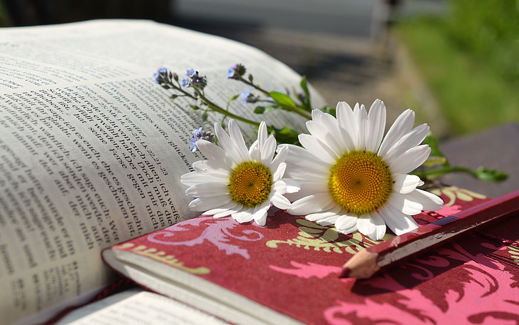 Review: ‘7 types of rest’ that you should know