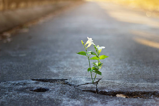 A How-To Guide for surviving the bad days