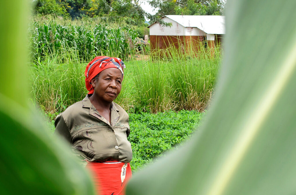 Africa’s conservationists forge a greener future